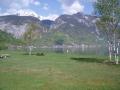 components/com_mambospgm/spgm/gal/Laeufe 2008/Hallstatt HM 2008/_thb_P5040006.JPG
